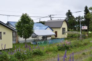 民宿 風の子