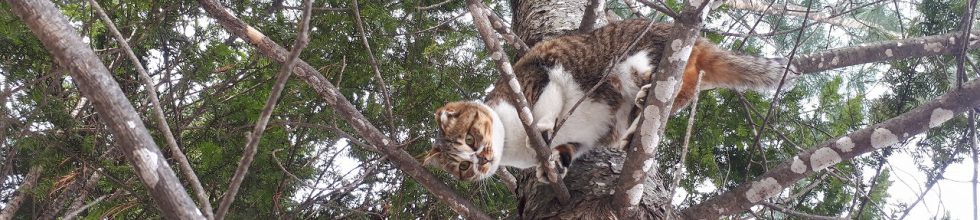 サロマ湖ゲストハウス さろまにあん